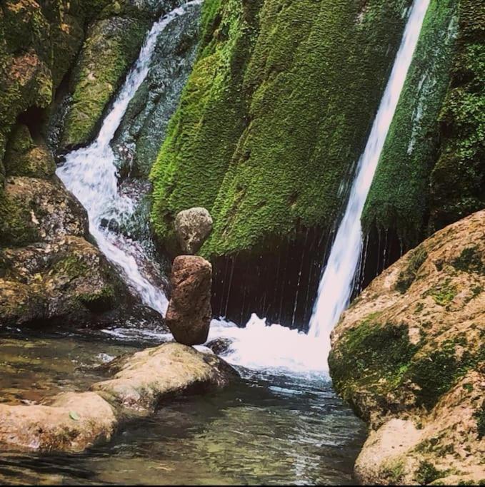 Maison Chaleureuse En Ariege Roquefort-Les-Cascades Εξωτερικό φωτογραφία